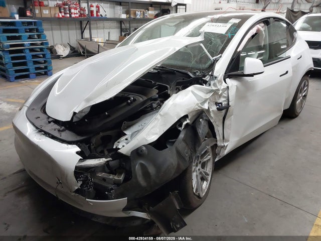 2023 TESLA MODEL Y 7SAYGDEE7PF921530 Photo 1