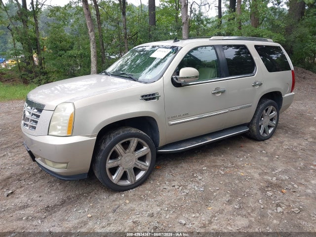 2007 CADILLAC ESCALADE 1GYFK63877R230322 Photo 1