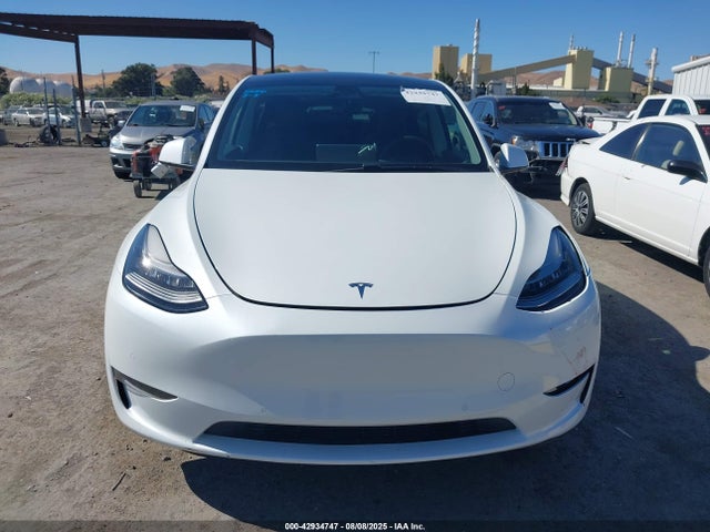 Tesla 2020 2020 5YJYGDEE8LF058115 Image 12