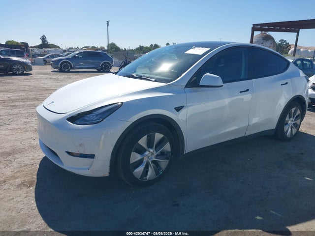 2020 TESLA MODEL Y 5YJYGDEE8LF058115 Photo 1