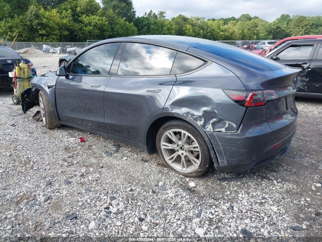 2023 TESLA MODEL Y 7SAYGDED2PF940784 Photo 2