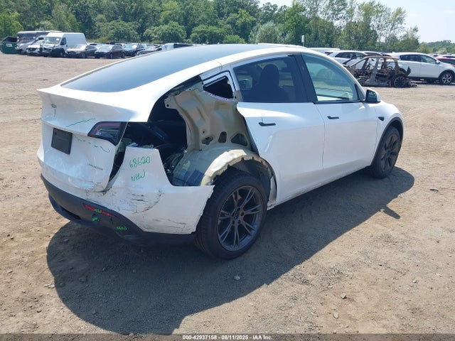 2024 TESLA MODEL Y 7SAYGDEEXRA328728 Photo 3