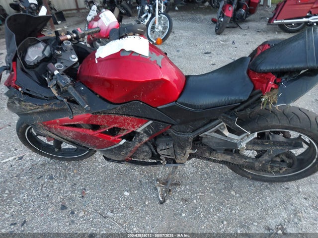Kawasaki Ninja 300 2014 JKAEX8A10EA003466 Image 13