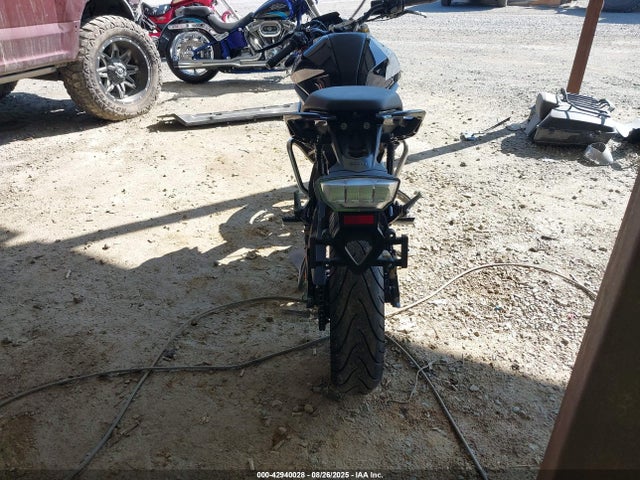 WB30G4308NRA33157 BMW G 310 R