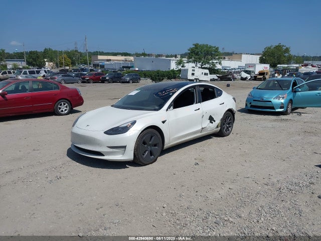 Tesla MODEL 3 2021 5YJ3E1EB9MF988238 Image 2