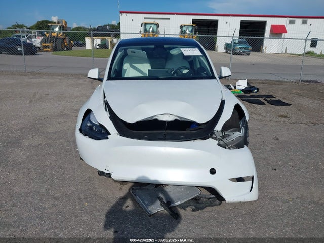 Tesla 2024 2024 7SAYGDEE3RA279534 Image 12