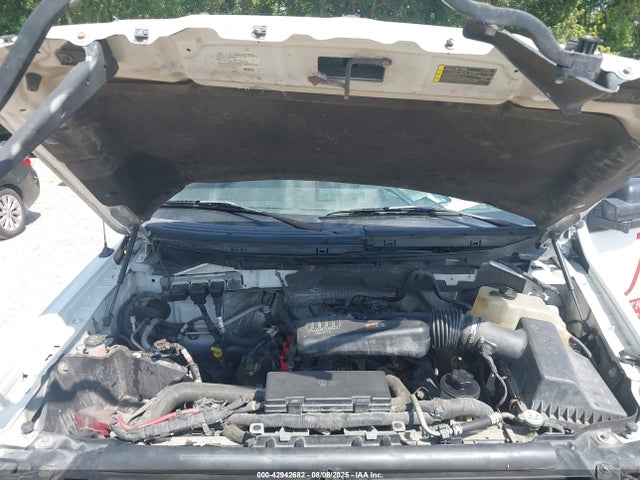 2010 FORD F-150 1FTEX1CW5AFB58890 Photo 9