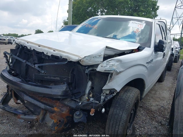 2010 FORD F-150 1FTEX1CW5AFB58890 Photo 1