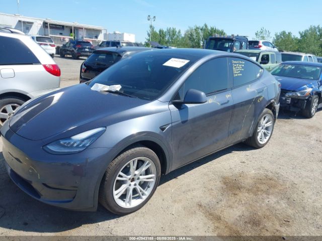 2023 TESLA MODEL Y 7SAYGDEE8PA081576 Photo 1