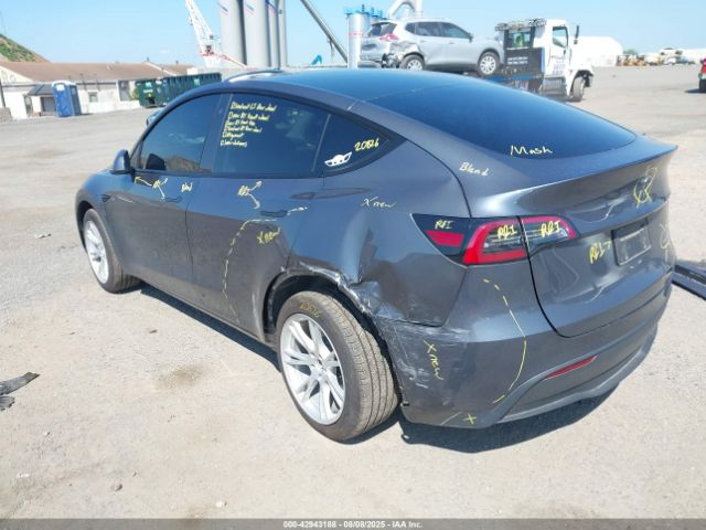 2023 TESLA MODEL Y 7SAYGDEE8PA081576 Photo 2