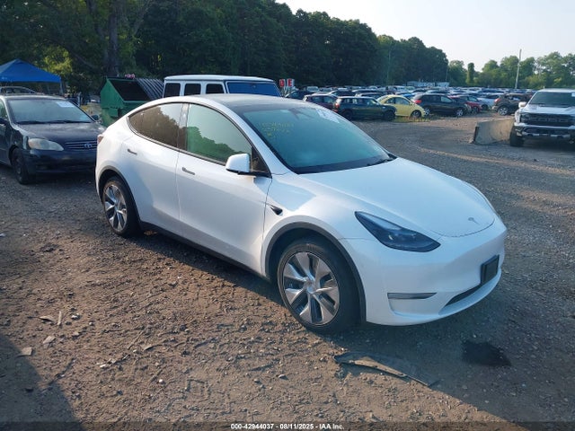 2023 TESLA MODEL Y 7SAYGDEE7PF799395 Photo 0