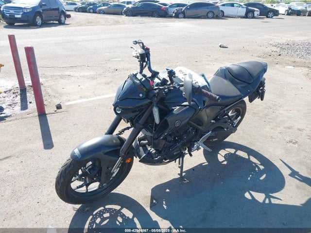 MH3RH20Y5PK009164 Yamaha Mtn320 (mt-03)