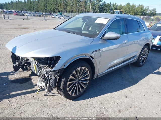 2019 AUDI E-TRON WA1VAAGE3KB010498 Photo 1