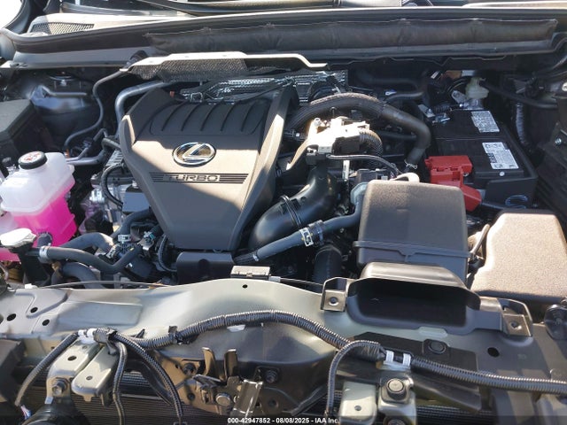 Lexus t24a-fts 2025 2T2BAMCA1SC105376 Image 10