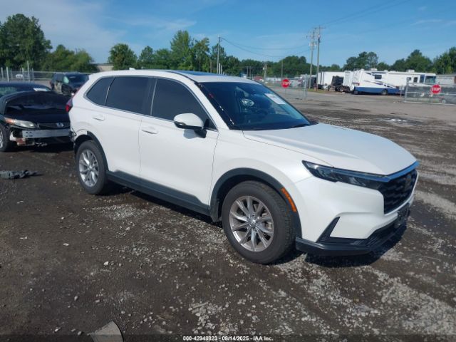 2024 HONDA CR-V 5J6RS4H43RL002296