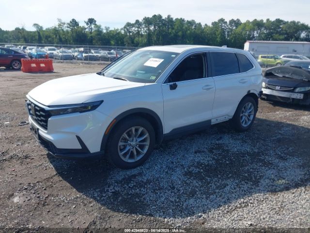2024 HONDA CR-V 5J6RS4H43RL002296 Photo 1