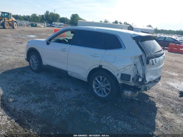 2024 HONDA CR-V 5J6RS4H43RL002296 Photo 2