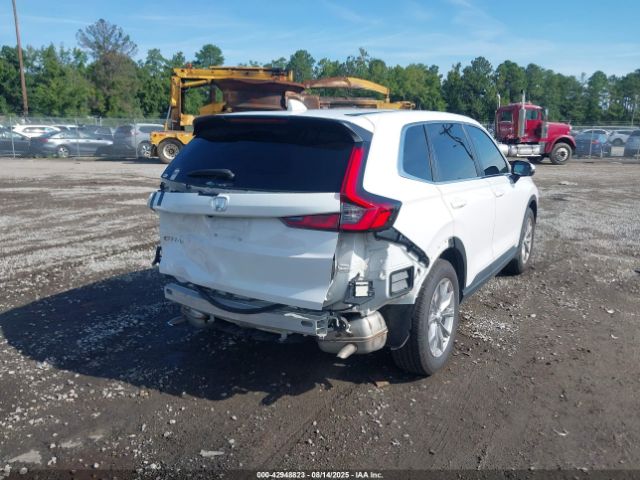 2024 HONDA CR-V 5J6RS4H43RL002296 Photo 3