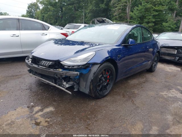 2021 TESLA MODEL 3 5YJ3E1EC7MF991261 Photo 1