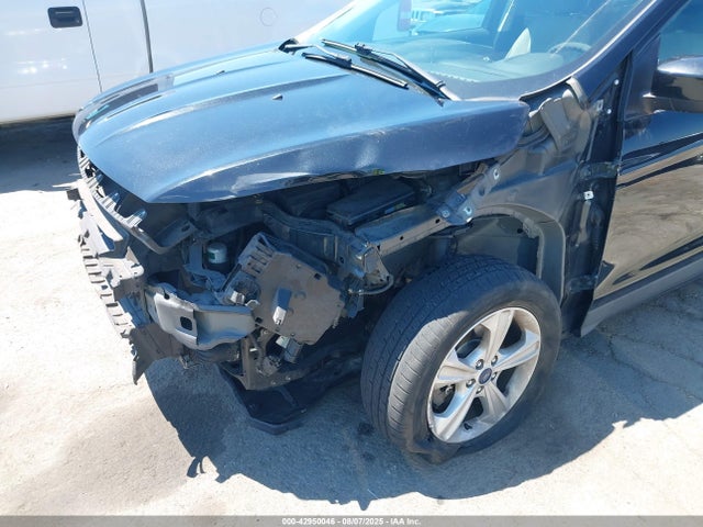 Ford Escape 2014 1FMCU0G97EUB85083 Image 6