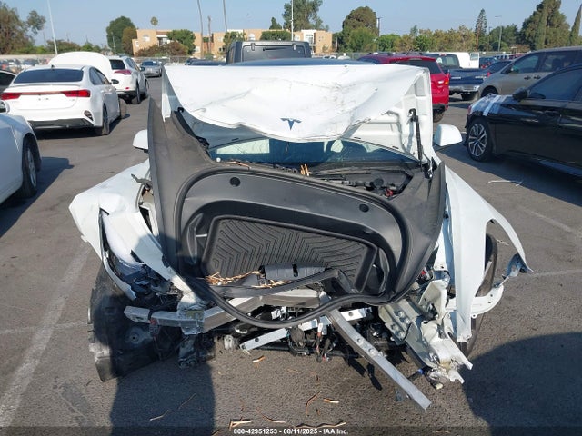 Продажа на аукционе авто 2023 Tesla Model 3 Rear-wheel Drive, vin: 5YJ3E1EA6PF655944, номер лота: 42951253