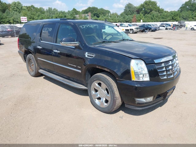 2010 CADILLAC ESCALADE ESV 1GYUKHEF6AR286936 Photo 0
