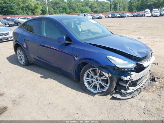 2021 TESLA MODEL Y 5YJYGDEE2MF114261