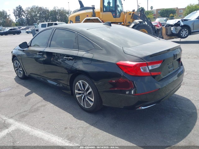 Honda lfb2 2019 1HGCV3F12KA000855 Image 3