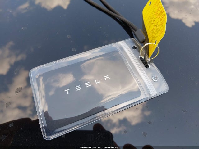 2019 TESLA MODEL 3 5YJ3E1EB6KF537135 Photo 10