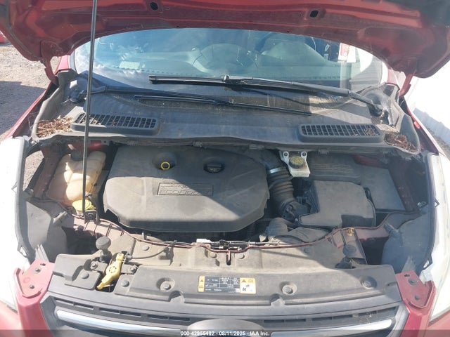 Ford Escape 2014 1FMCU0G99EUB16329 Image 10