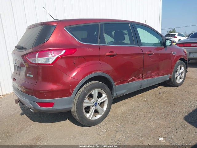 Ford Escape 2014 1FMCU0G99EUB16329 Image 4