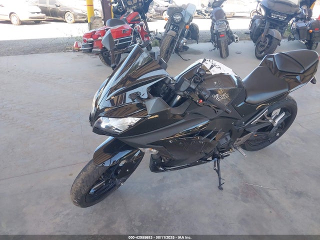Kawasaki Ninja 300 2016 JKAEX8A13GDA28561 Image 2