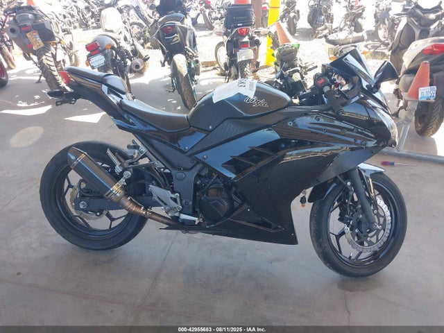 Kawasaki Ninja 300 2016 JKAEX8A13GDA28561 Image 12