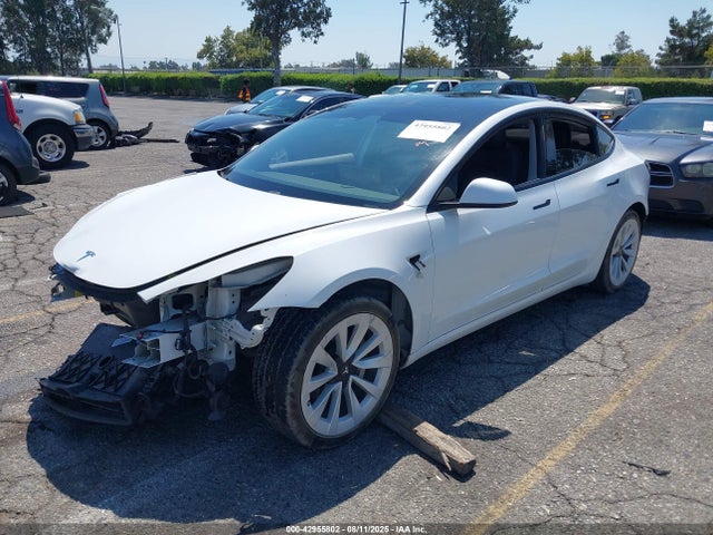 2021 TESLA MODEL 3 5YJ3E1EA0MF082390 Photo 1