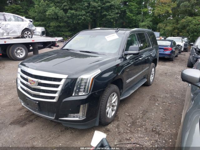 2019 CADILLAC ESCALADE 1GYS4BKJ5KR166537 Photo 1