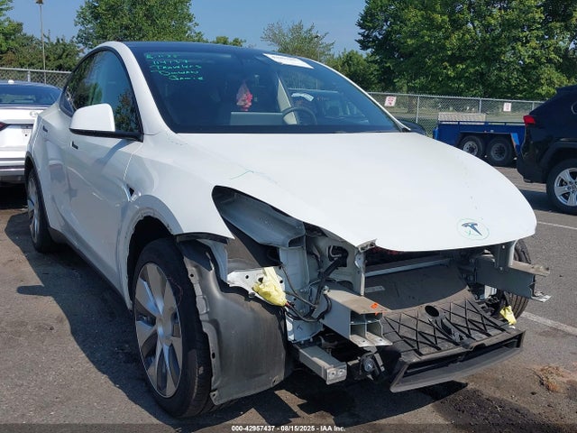2020 TESLA MODEL Y 5YJYGDEE8LF044442 Photo 0