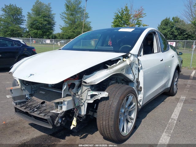 2020 TESLA MODEL Y 5YJYGDEE8LF044442 Photo 1