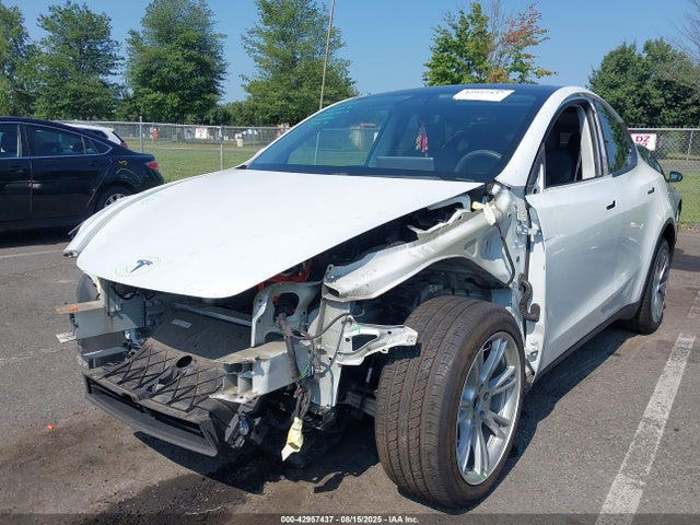 2020 TESLA MODEL Y 5YJYGDEE8LF044442 Photo 5