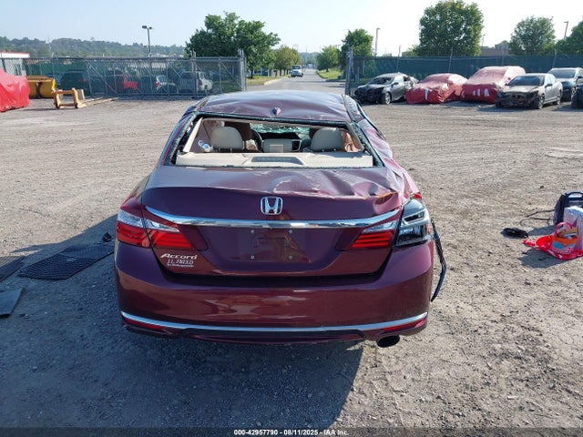 1HGCR2F97GA181303 Honda k24w1