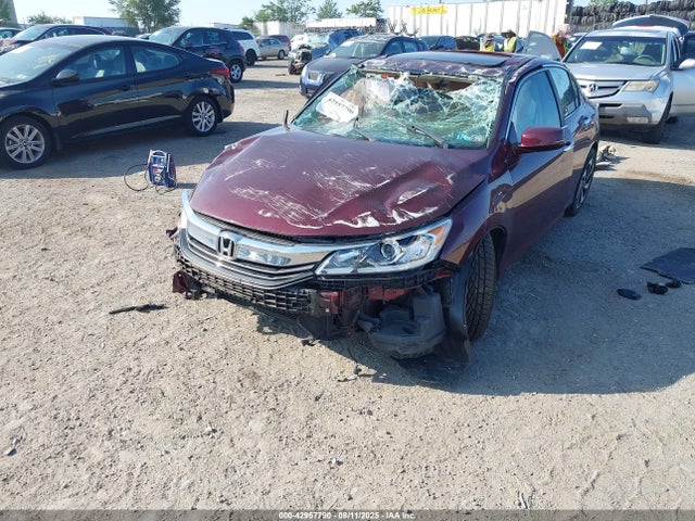 1HGCR2F97GA181303 Honda k24w1