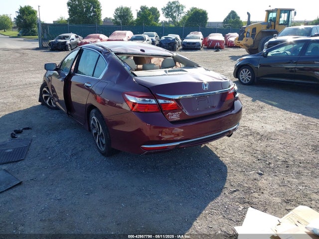 1HGCR2F97GA181303 Honda k24w1