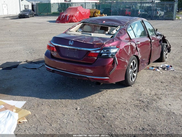 1HGCR2F97GA181303 Honda k24w1