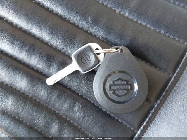 2018 HARLEY-DAVIDSON FLSL 1HD1YDJ10JC070317 Photo 10