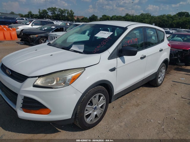 Ford Escape 2014 1FMCU0F70EUC27433 Image 2