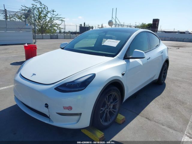 2024 TESLA MODEL Y 7SAYGDEE4RF151287 Photo 1