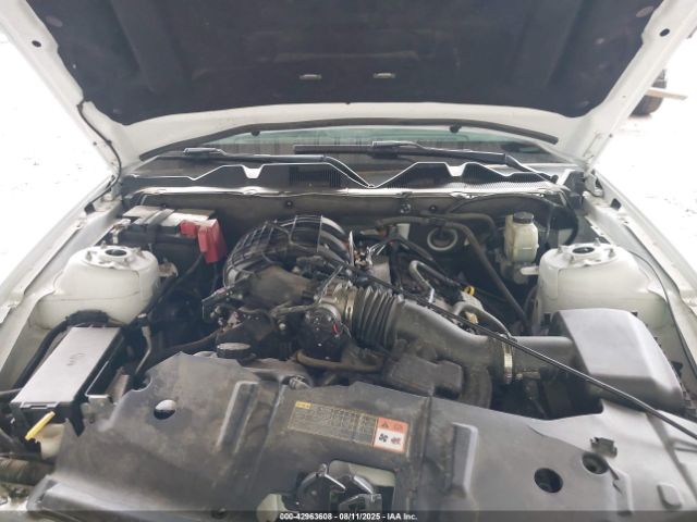 2014 FORD MUSTANG 1ZVBP8AM2E5246978 Photo 9