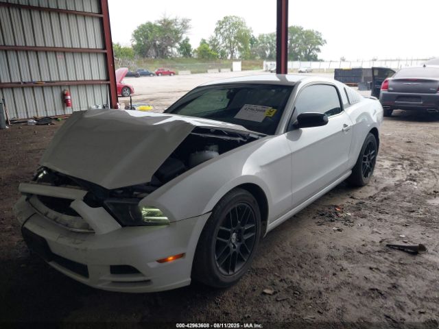 2014 FORD MUSTANG 1ZVBP8AM2E5246978 Photo 1