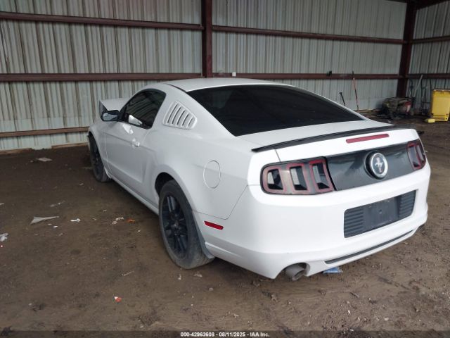 2014 FORD MUSTANG 1ZVBP8AM2E5246978 Photo 2