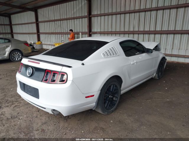2014 FORD MUSTANG 1ZVBP8AM2E5246978 Photo 3