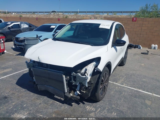1FMCU0G61NUB97963 Ford dragon di tc